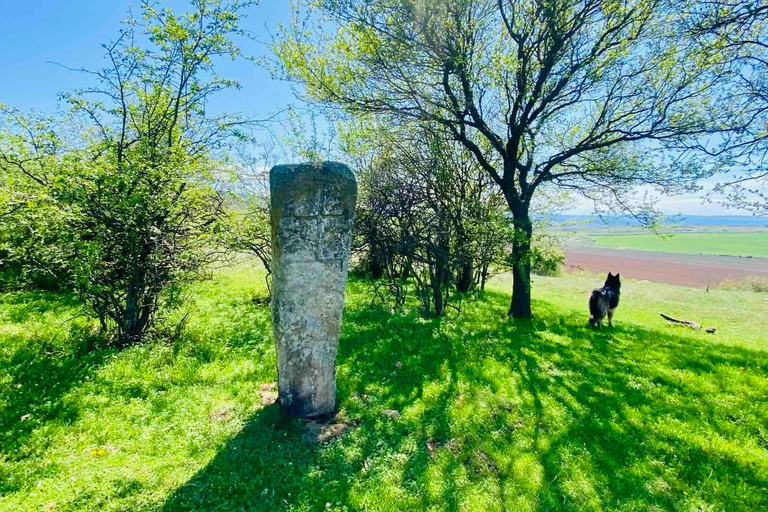 Sofia: The Beauty of the Countryside with a Homemade Lunch