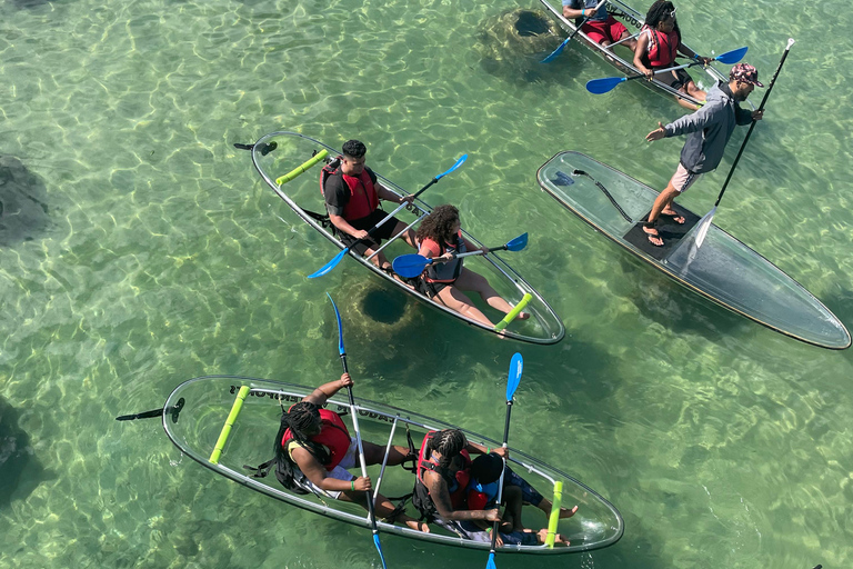 Clear Kayak Eco Tour - San Juan