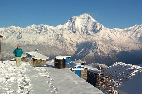 Från Pokhara: 7 dagar Khopra Hill Trek