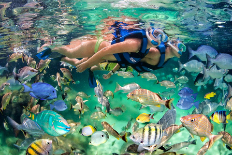 Aventura em barco de vidro em Punta Cana