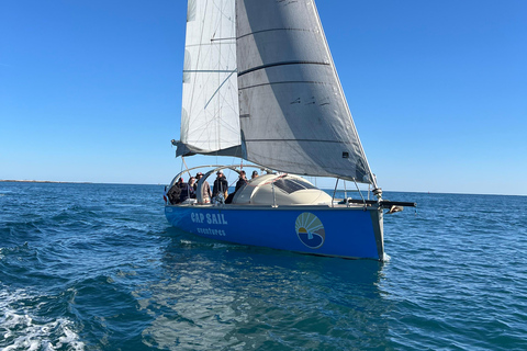 Golfe-Juan : Découvrez l&#039;art de la navigation lors d&#039;une croisière panoramique