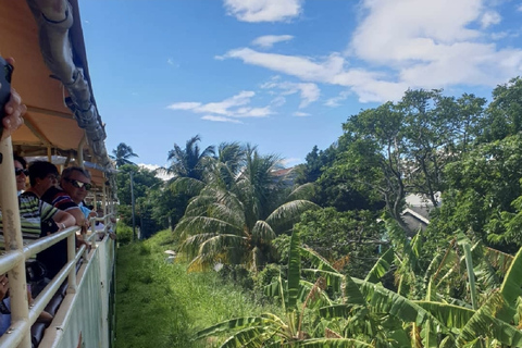 St Kitts: Scenisk sockertågstur med upphämtning och avlämning