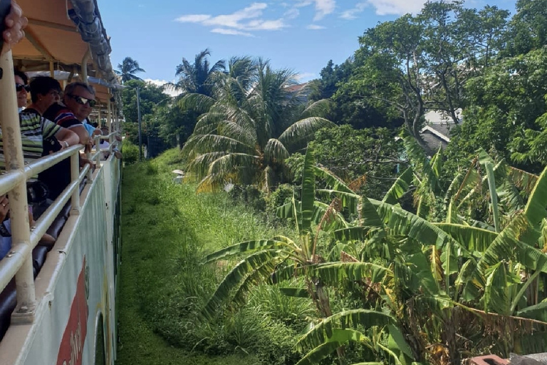 Saint-Kitts : Visite panoramique du train à sucre avec prise en charge et retour