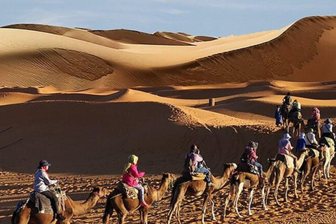 Riyadh: City Highlights Guided Tour