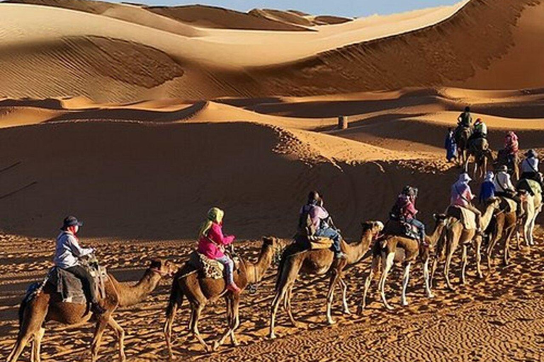 Riyadh: City Highlights Guided Tour