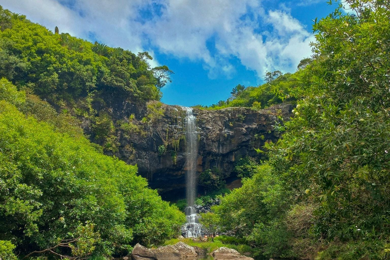 Mauritius Wycieczka piesza do 7 wodospadów z Ganga Talao i lunchem