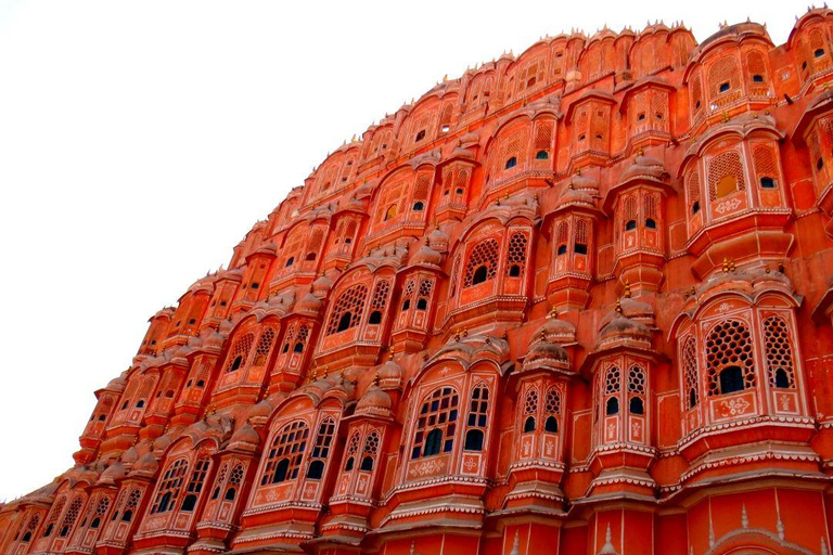From Delhi: Same Day Guided Jaipur Tour with 5 Star Lunch From Delhi: All Included Tour