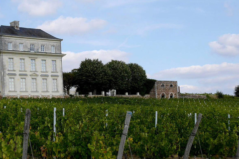 Angers: Guided Wine Tour at Château d'Avrillé with Tasting