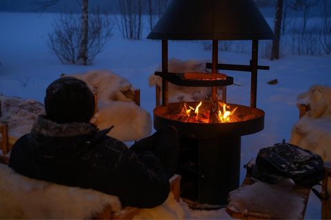 Rovaniemi: Drive New 2025 Snowmobiles - Aurora Adventure