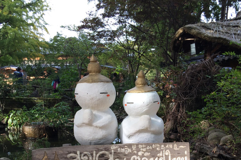 Seoul: Mt.Seorak, Nami eiland, No ShoppingGroep (Herfstbladeren), verzamelen bij Myeongdong