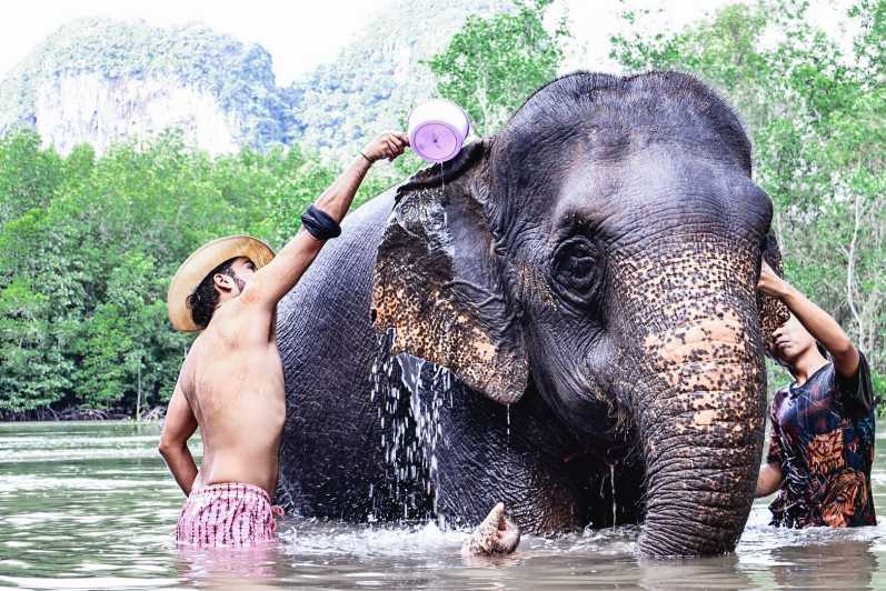 Krabi: Elefantenbaden im Elefantenschutzgebiet von Krabi