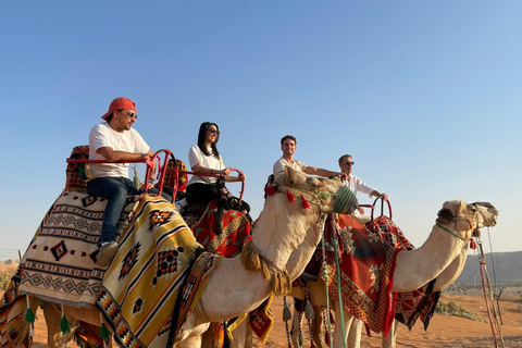 Riyadh:Red Sand Dunes camel ride&Quad&Sandboarding Adventure Private Tour with pick up and drop off from your location
