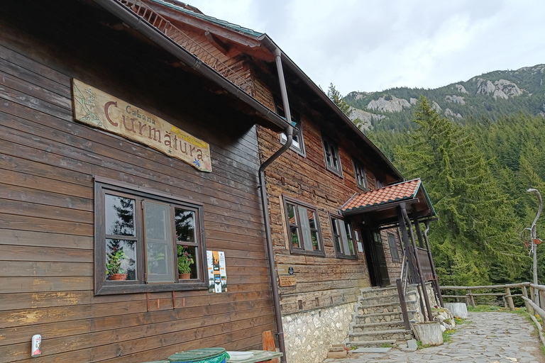 Brașov: Caminhada privada em Piatra Craiului até a cabana CurmaturaBrașov: Caminhada Privada de Piatra Craiului até a Cabana Curmatura