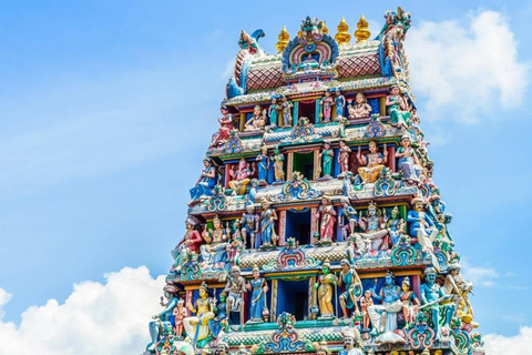 Chennai: 8-Day Fully Guided Tour of South India