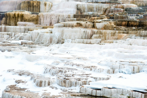 5 Days Tours | Yellowstone National Park, Grand Teton Quad occupancy