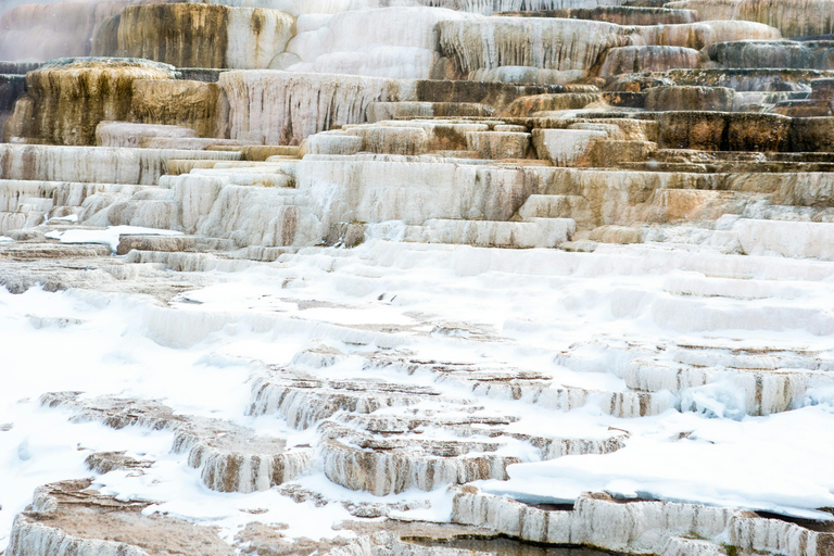 5 Days Tours | Yellowstone National Park, Grand Teton Quad occupancy