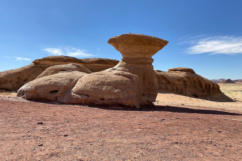 Tour naar Wadi Rum vanuit Amman of de hele dag over de Dode ZeeTour naar Wadi Rum vanuit Amman of DeadSea Minivan van een hele dag 7pax