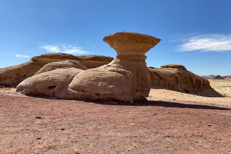 Heldagstur till Wadi Rum från Amman eller Döda havet