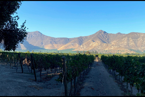 Santiago: Private Inca Lake and Alpaca Farm or Vineyard