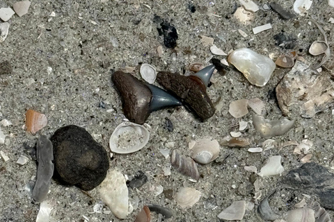 Charleston : Chasse privée aux dents de requin et observation du phare