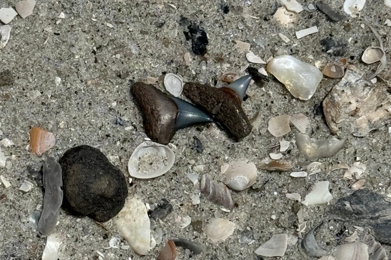 Charleston : Chasse privée aux dents de requin et observation du phare