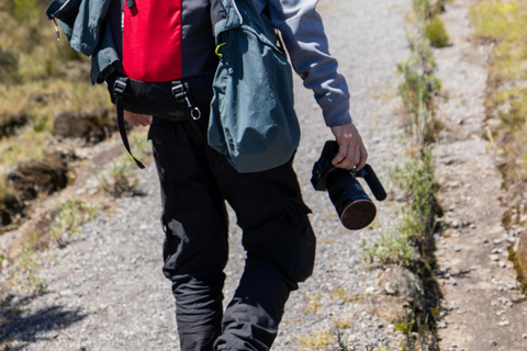 Monte Kilimanjaro : Caminhada de um dia no Kilimanjaro pela rota Marangu