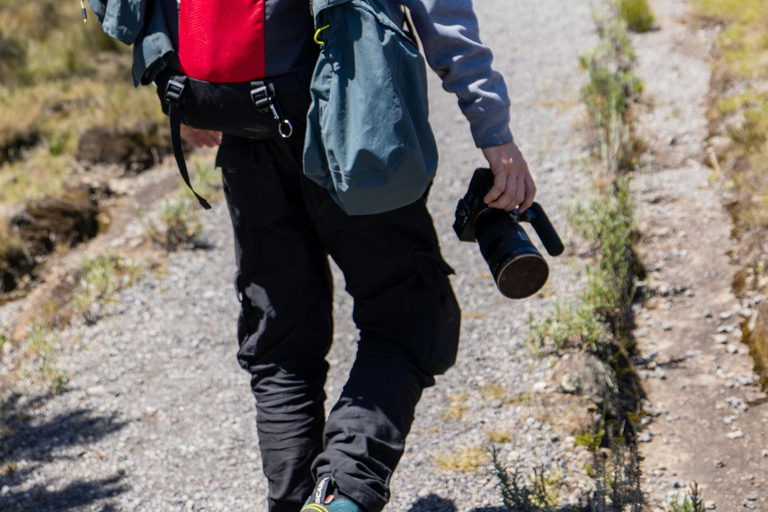 Mt. Kilimanjaro : Kilimanjaro Day Hike Via Marangu route