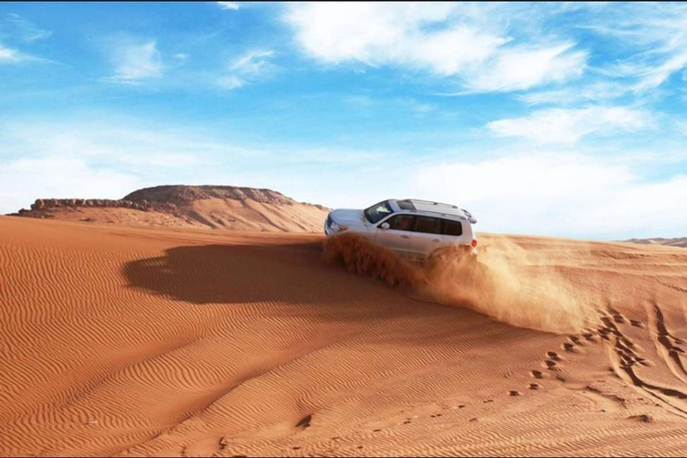 Tour privato combinato Safari nel deserto e tour della città con trasferimento