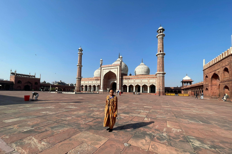 Delhi: Old and New Delhi Private Full or Half-Day Tour Full Day Tour with Guide Only - (Without Car & Driver)