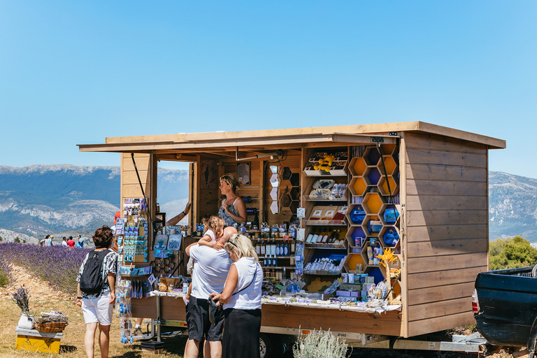 Niza: tour de las gargantas del Verdon y campos de lavanda