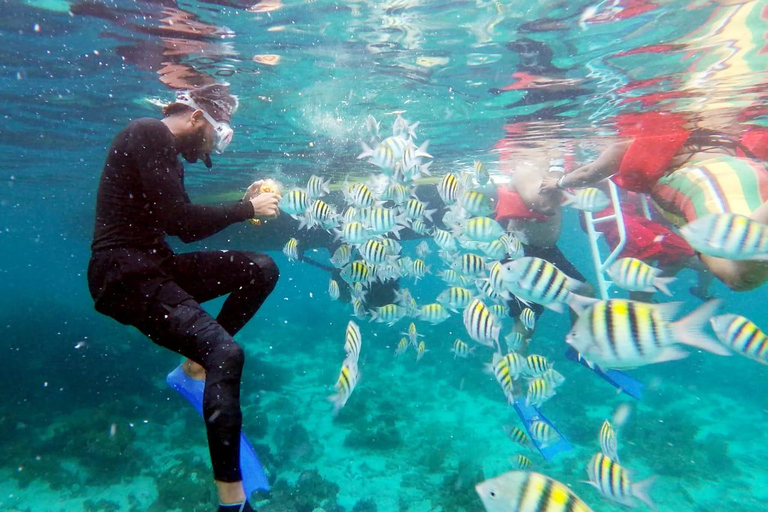 蒙特哥湾度假村出发：里克斯咖啡馆日落双体船巡游里克斯咖啡馆日落双体船巡游蒙特哥湾度假村