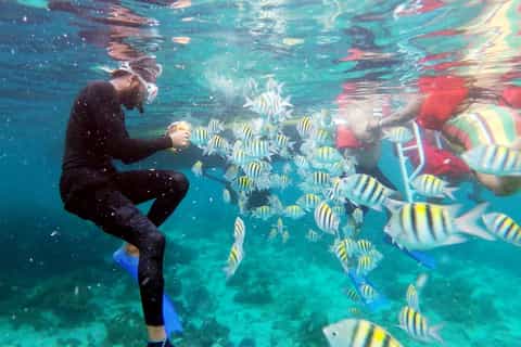 Negril : catamaran matinal avec plongee avec tuba et baignade dans les grottes