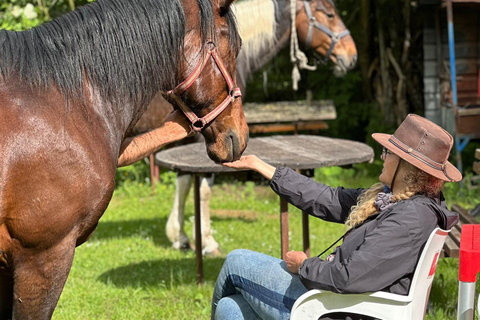 From Belgrade: 6-Day Šumadija Trail Horseback Riding Tour