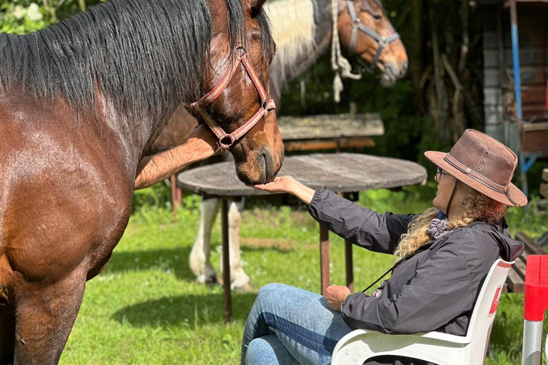 From Belgrade: 6-Day Šumadija Trail Horseback Riding Tour