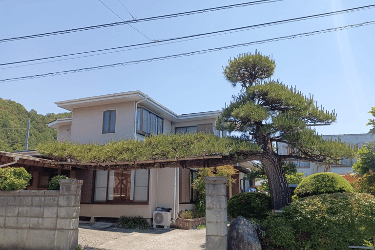 Tour privato al Monte Fuji, al Lago Kawaguchi e alla Pagoda Chureito