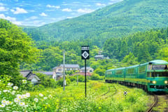 Yufuin-no-Mori-Zug: Tagestour von Fukuoka nach Beppu & Dazaifu