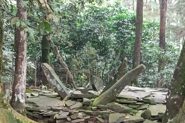 Bogor Botanical Garden and Domas Megalithic Site Tour