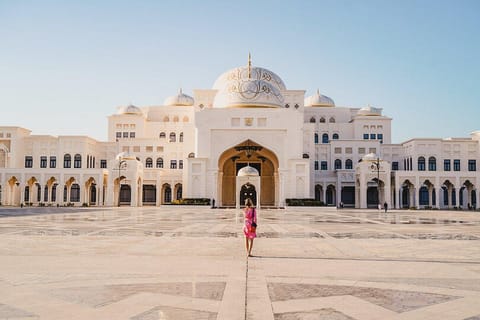 Abu Dhabi: Layover Sightseeing Tour with Airport Pickup