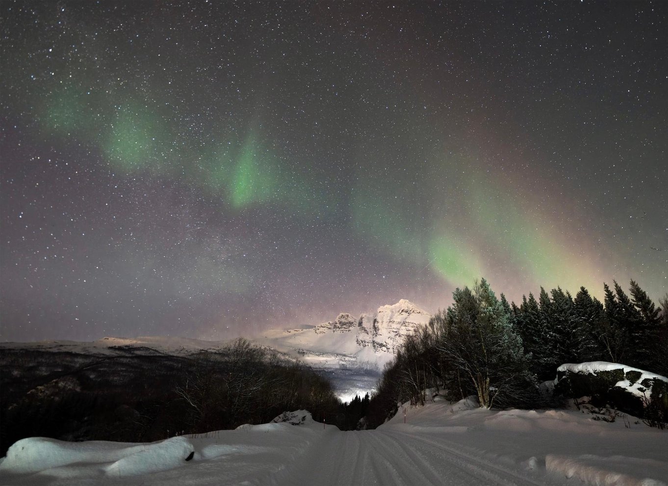 Harstad/Narvik/Tjeldsund: Nordlys-sightseeing i bil