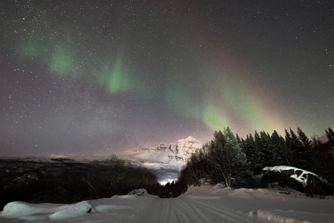 Harstad/Narvik/Tjeldsund: Northern Lights Sightseeing by Car