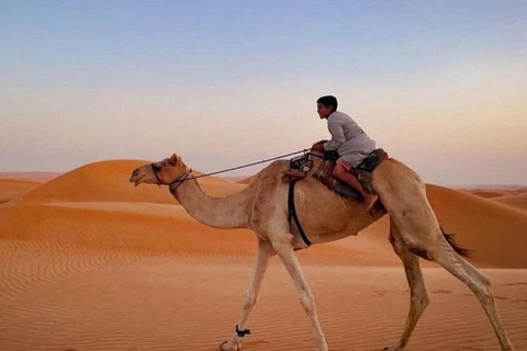 From Muscat: Shared Wadi Bani Khalid & Desert Sunset