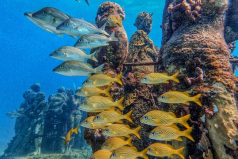 Cancun: Museu Subaquático Musa e excursão de mergulho nos recifesCancun: Musa Underwater Museum e Reef