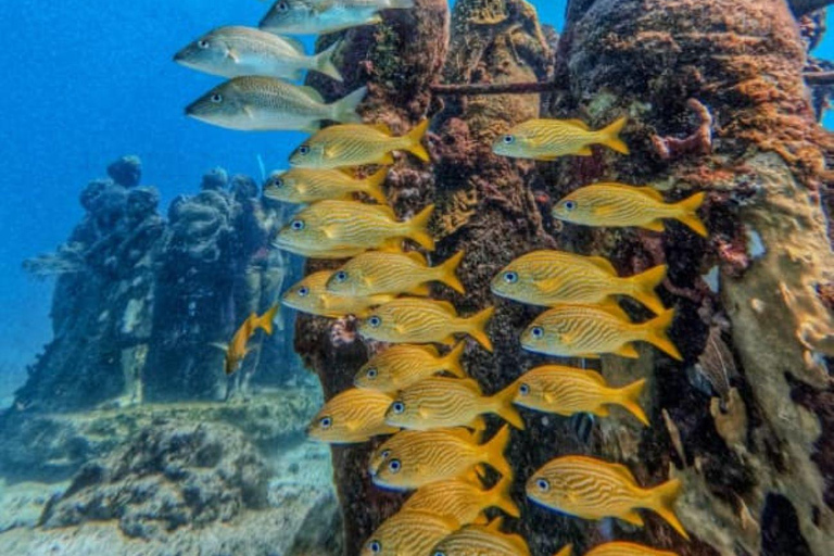 Cancun : Musée sous-marin Musa et plongée sous-marine sur les récifsCancun : Musée sous-marin Musa et récif