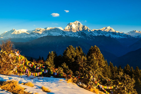 Pokhara : Ghorepani et Poon Hill Trek 3 jours