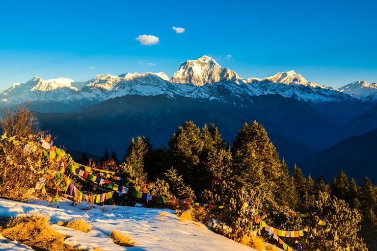 Pokhara: Ghorepani och Poon Hill Trek 3-dagars