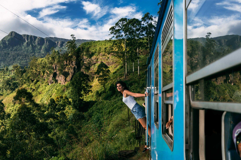 Sri Lanka Ella Train Ride from Ambewela and Adams Peak