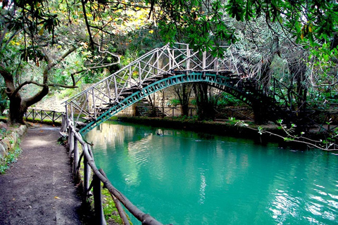 From Rhodes: Bus Tour to Lindos and the Seven Springs