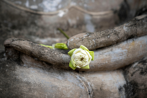 Bangkok do Ayutthaya: Przygoda w małej grupie z lunchem