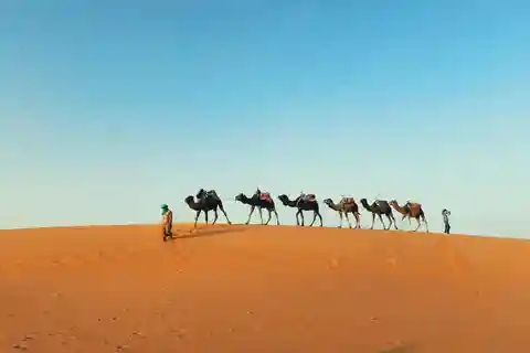 Marrakech: 3 giorni nel deserto di Merzouga, quad e cammello + cena con spettacolo