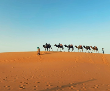 From Marrakech: 3-day Morocco Desert, Camel & Dinner Show